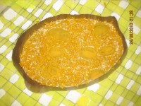 /album/galeria-de-fotos-galeria-de-fotos/imagem-032-jpg/